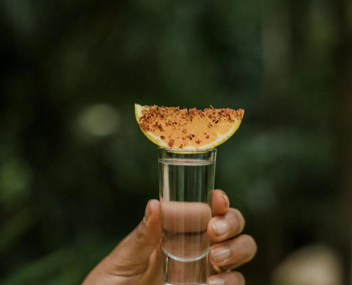 Copal Tulum Hotel Hotel apartamentowy